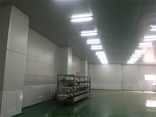 上海浦東食品凈化車間裝修效果圖